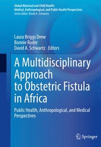 bokomslag A Multidisciplinary Approach to Obstetric Fistula in Africa