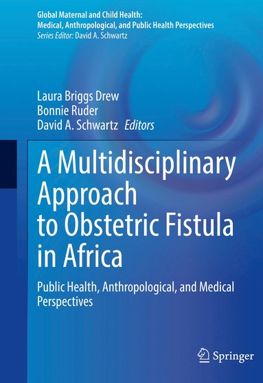 bokomslag Multidisciplinary Approach to Obstetric Fistula in Africa