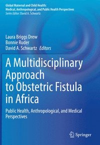 bokomslag A Multidisciplinary Approach to Obstetric Fistula in Africa
