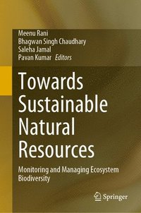 bokomslag Towards Sustainable Natural Resources
