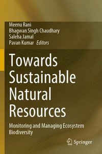bokomslag Towards Sustainable Natural Resources