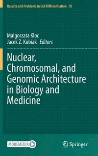 bokomslag Nuclear, Chromosomal, and Genomic Architecture in Biology and Medicine