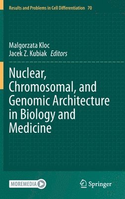 Nuclear, Chromosomal, and Genomic Architecture in Biology and Medicine 1