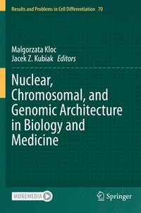 bokomslag Nuclear, Chromosomal, and Genomic Architecture in Biology and Medicine