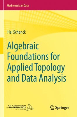 bokomslag Algebraic Foundations for Applied Topology and Data Analysis