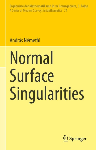 András Némethi - Normal Surface Singularities, Inbunden