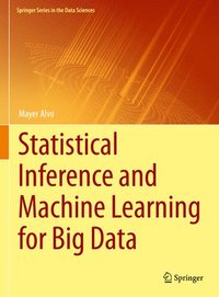 bokomslag Statistical Inference and Machine Learning for Big Data