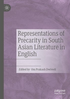 bokomslag Representations of Precarity in South Asian Literature in English