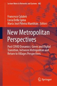 bokomslag New Metropolitan Perspectives