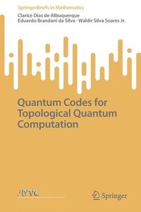 bokomslag Quantum Codes for Topological Quantum Computation