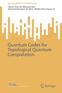 bokomslag Quantum Codes for Topological Quantum Computation