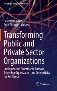 bokomslag Transforming Public and Private Sector Organizations