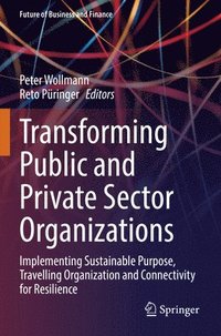 bokomslag Transforming Public and Private Sector Organizations