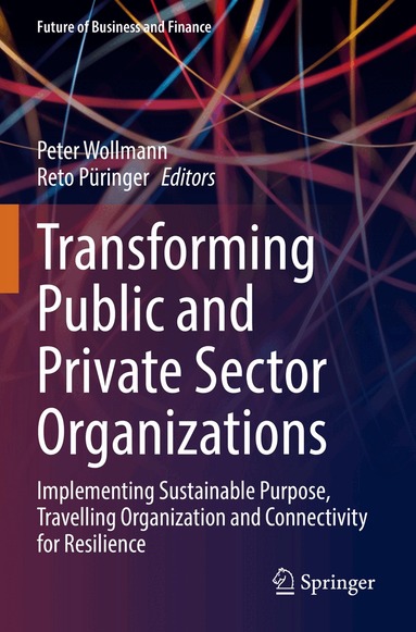 Peter Wollmann, Reto Püringer - Transforming Public and Private Sector Organizations, Häftad