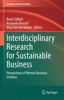 bokomslag Interdisciplinary Research for Sustainable Business