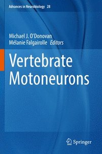 bokomslag Vertebrate Motoneurons