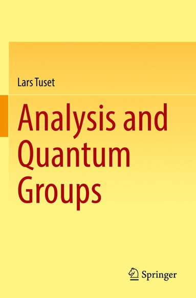 bokomslag Analysis and Quantum Groups
