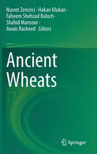 bokomslag Ancient Wheats