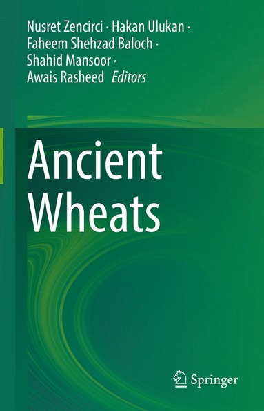 bokomslag Ancient Wheats