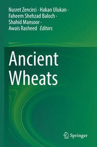 bokomslag Ancient Wheats