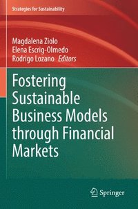 bokomslag Fostering Sustainable Business Models through Financial Markets