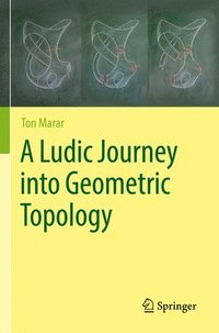 bokomslag A Ludic Journey into Geometric Topology