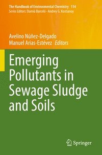 bokomslag Emerging Pollutants in Sewage Sludge and Soils