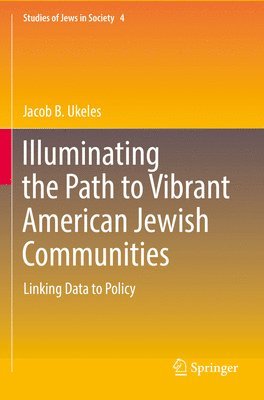 bokomslag Illuminating the Path to Vibrant American Jewish Communities