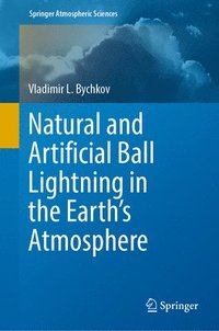 bokomslag Natural and Artificial Ball Lightning in the Earths Atmosphere