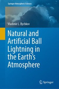 bokomslag Natural and Artificial Ball Lightning in the Earth's Atmosphere
