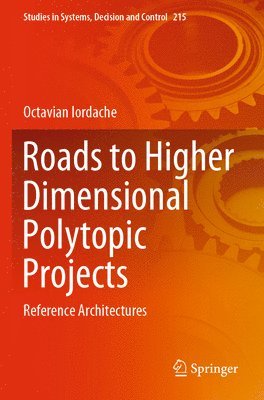 bokomslag Roads to Higher Dimensional Polytopic Projects