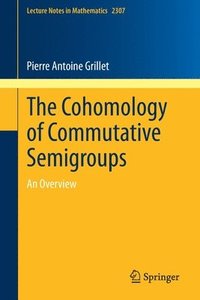 bokomslag The Cohomology of Commutative Semigroups