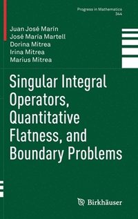 bokomslag Singular Integral Operators, Quantitative Flatness, and Boundary Problems
