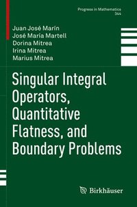 bokomslag Singular Integral Operators, Quantitative Flatness, and Boundary Problems