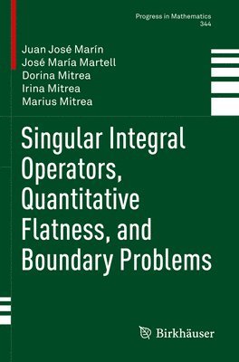 Singular Integral Operators, Quantitative Flatness, and Boundary Problems 1