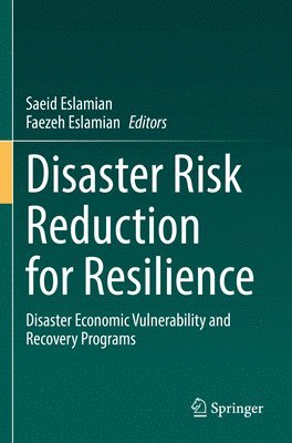 bokomslag Disaster Risk Reduction for Resilience
