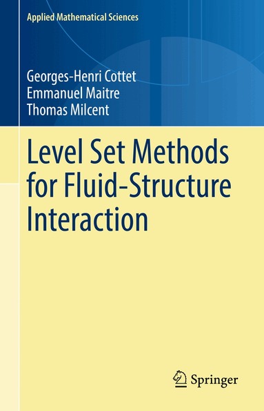 Georges-Henri Cottet, Emmanuel Maitre, Thomas Milcent - Level Set Methods for Fluid-Structure Interaction, Inbunden