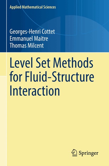 Georges-Henri Cottet, Emmanuel Maitre, Thomas Milcent - Level Set Methods for Fluid-Structure Interaction, Häftad