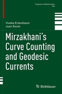 bokomslag Mirzakhanis Curve Counting and Geodesic Currents