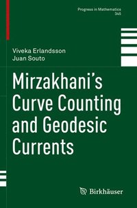 bokomslag Mirzakhani's Curve Counting and Geodesic Currents
