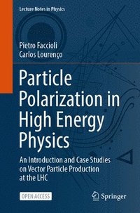 bokomslag Particle Polarization in High Energy Physics