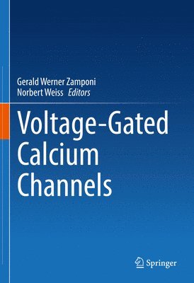 Voltage-Gated Calcium Channels 1