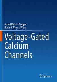 bokomslag Voltage-Gated Calcium Channels