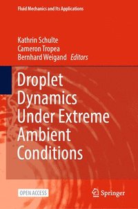 bokomslag Droplet Dynamics Under Extreme Ambient Conditions