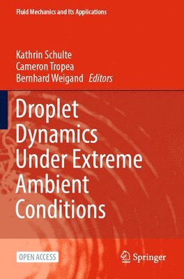 bokomslag Droplet Dynamics Under Extreme Ambient Conditions