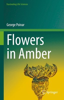 Flowers in Amber 1