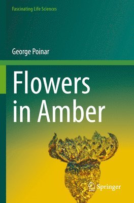 Flowers in Amber 1