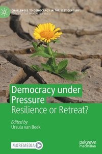 bokomslag Democracy under Pressure
