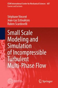 bokomslag Small Scale Modeling and Simulation of Incompressible Turbulent Multi-Phase Flow