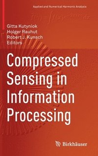 bokomslag Compressed Sensing in Information Processing